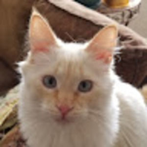 Meet your Posher, Jeri